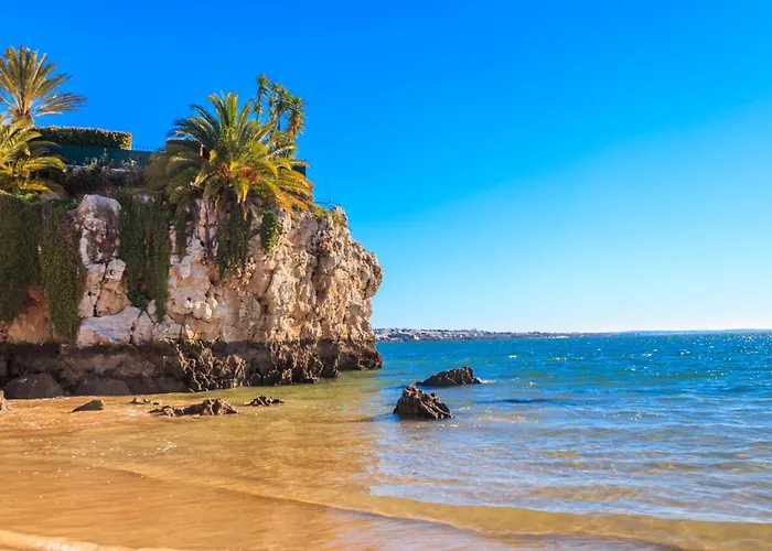 Eden Rentals Rincon De Miramar